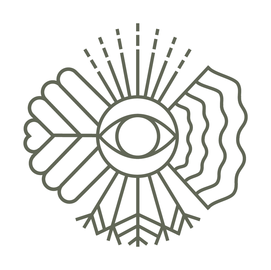 Geometrische Linien-Illustration von einem Auge, das nach oben hin Strahlen hat, zur Seite Blätter und Wasser und nach unten Wurzeln